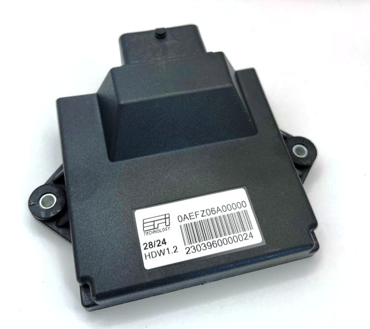 EFI Technology Euro 2 Plus Engine Control Unit